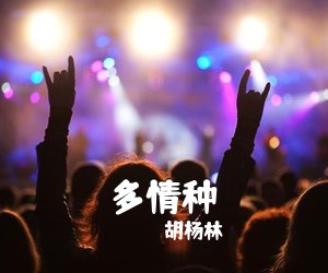 吉他谱