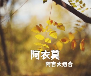 吉他谱